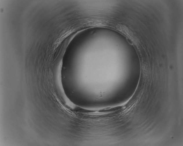 X0000070180433200605261136