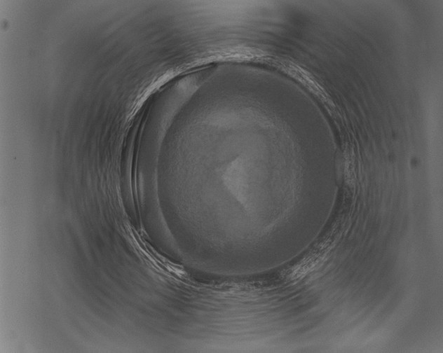 X0000070180434200605261136