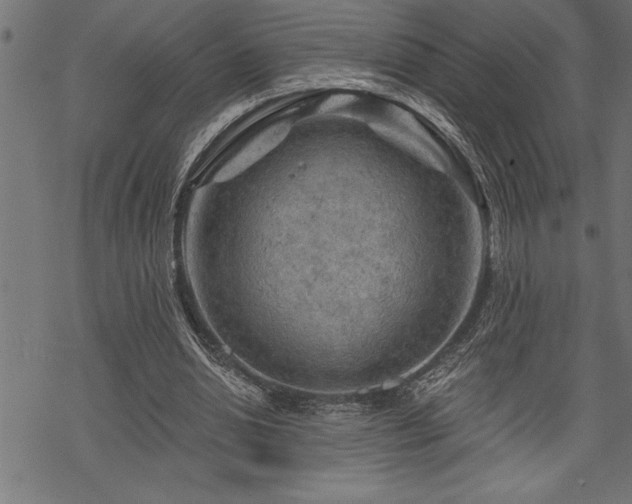 X0000070180438200605261136