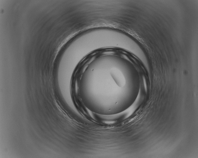 X0000070180440200605261136