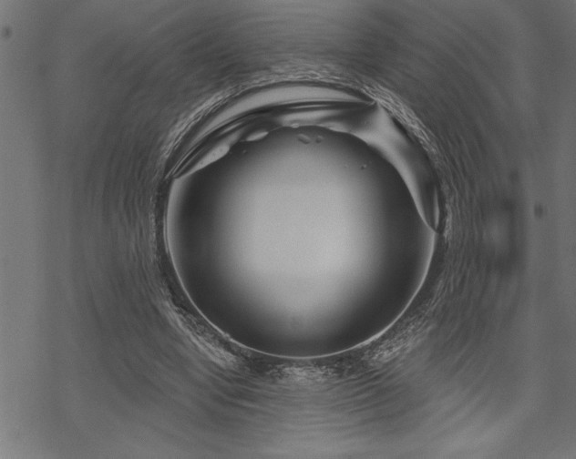 X0000070180442200605261136