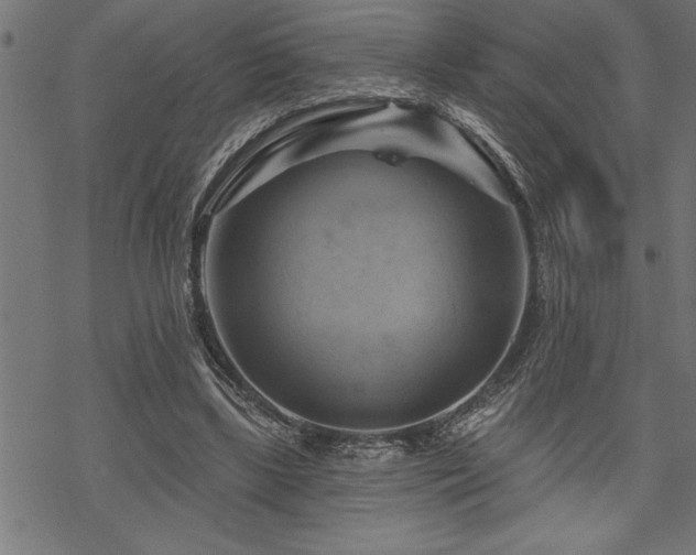 X0000070180443200605261136