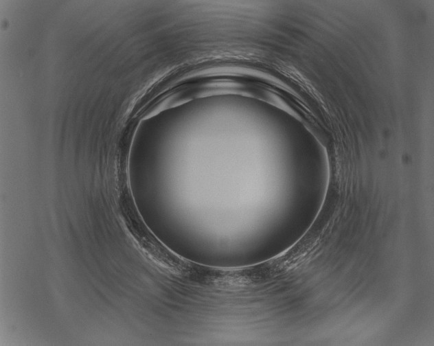 X0000070180444200605261136
