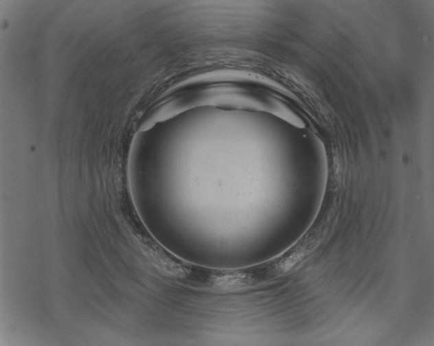 X0000070180461200605261137