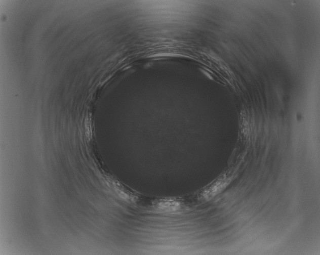 X0000070180471200605261137