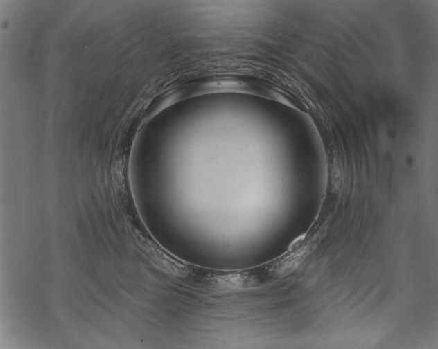 X0000070180473200605261137