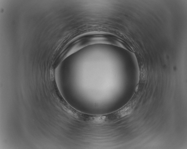 X0000070180474200605261137