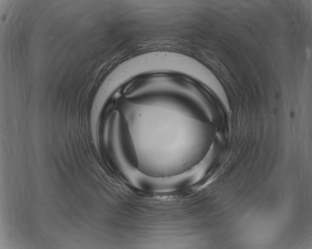 X0000070180478200605261137