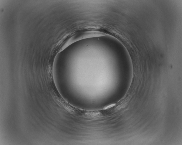X0000070180480200605261137