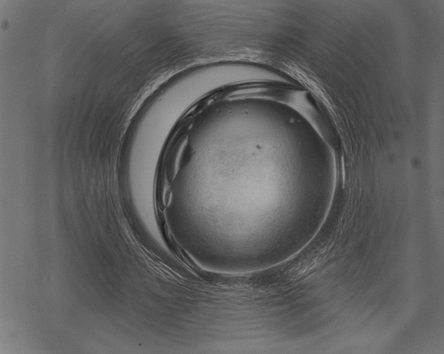 X0000070180483200605261136