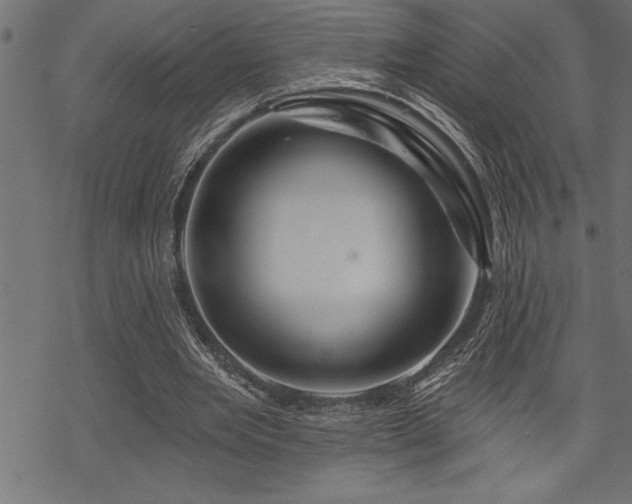 X0000070180485200605261136