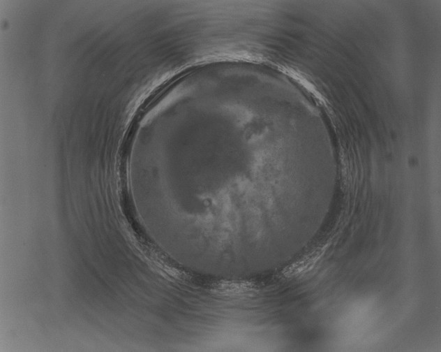 X0000070180487200605261136