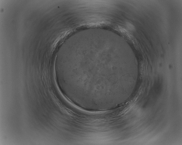 X0000070180495200605261136