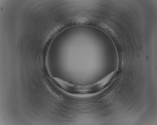 X0000070180496200605261136