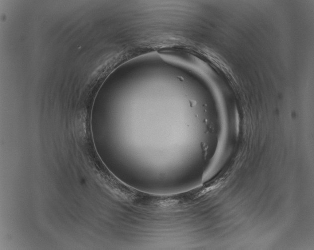 X0000070180501200605261136