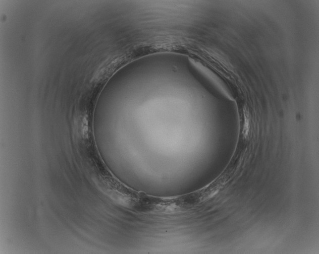 X0000070180502200605261136