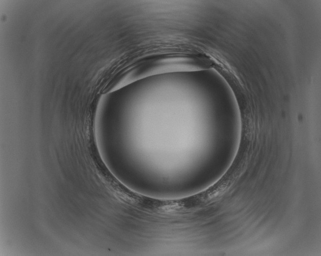 X0000070180505200605261136