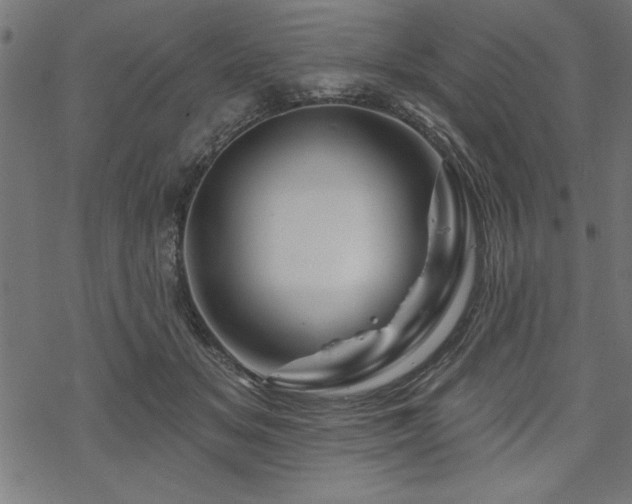 X0000070180509200605261136