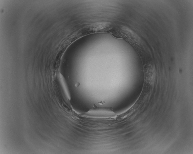 X0000070180510200605261136