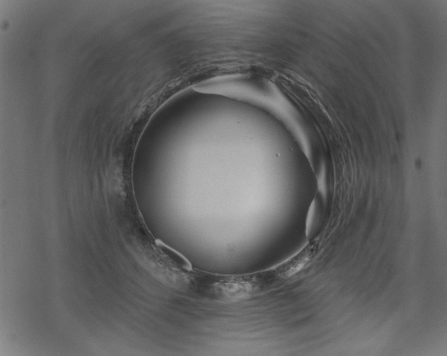 X0000070180512200605261136