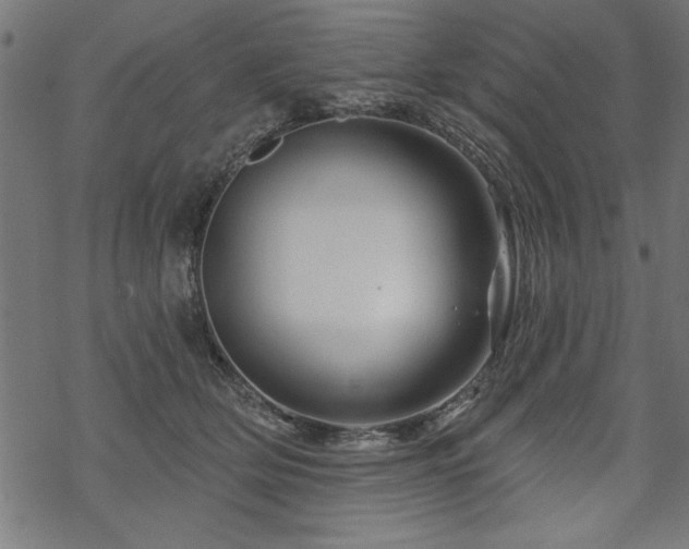 X0000070180514200605261136