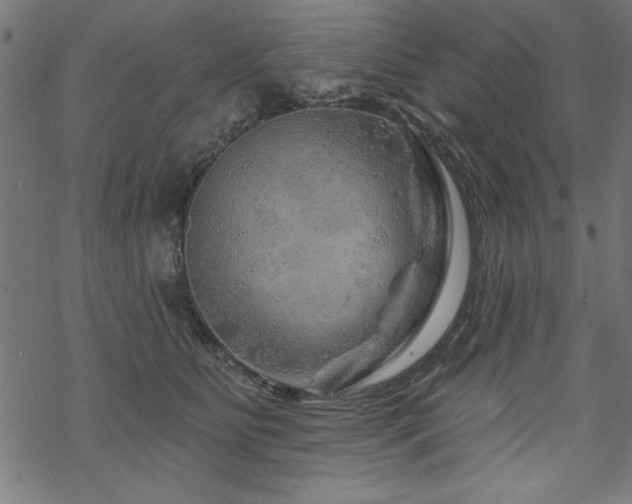 X0000070180515200605261136