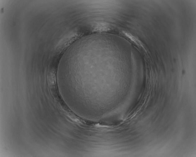 X0000070180517200605261136