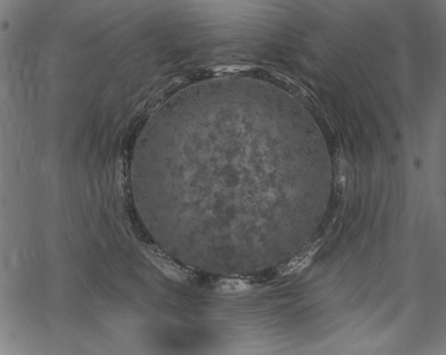 X0000070180519200605261136