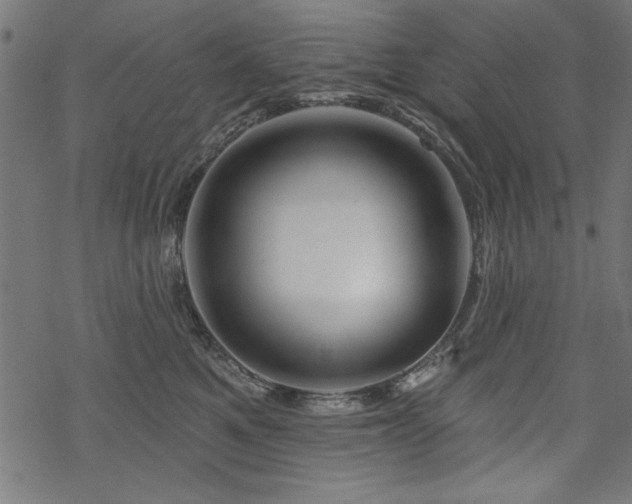 X0000070180521200605261136