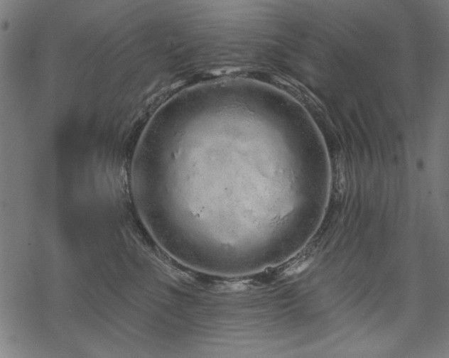 X0000070180523200605261136