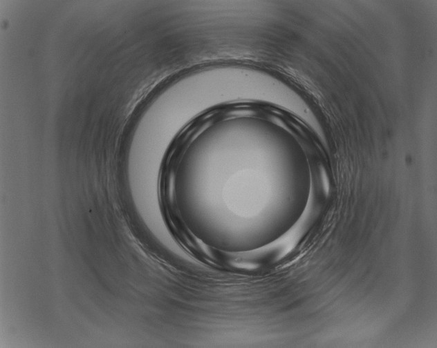 X0000070180544200605261135