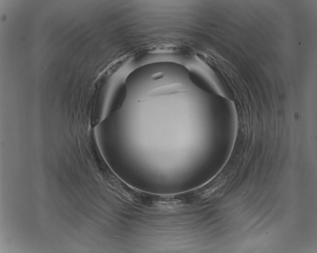 X0000070180556200605261135