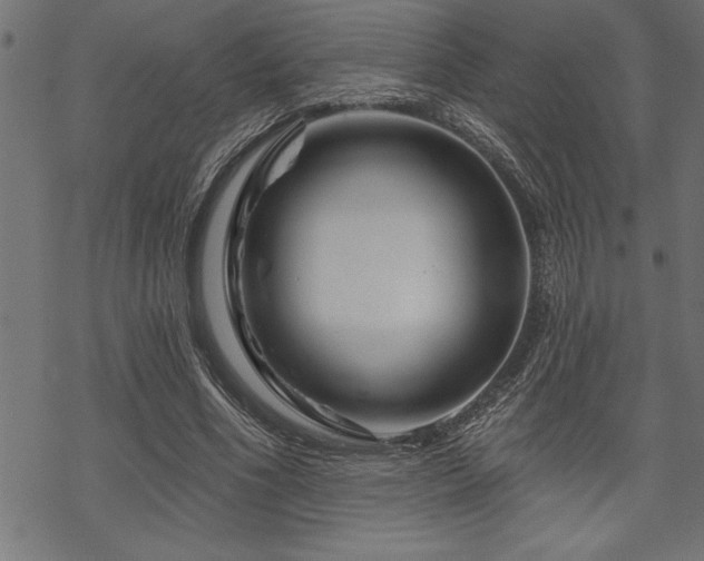 X0000070180586200605261135