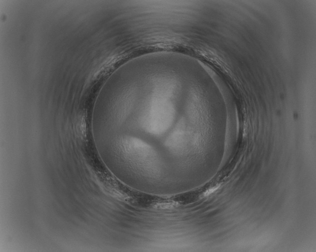 X0000070180595200605261134