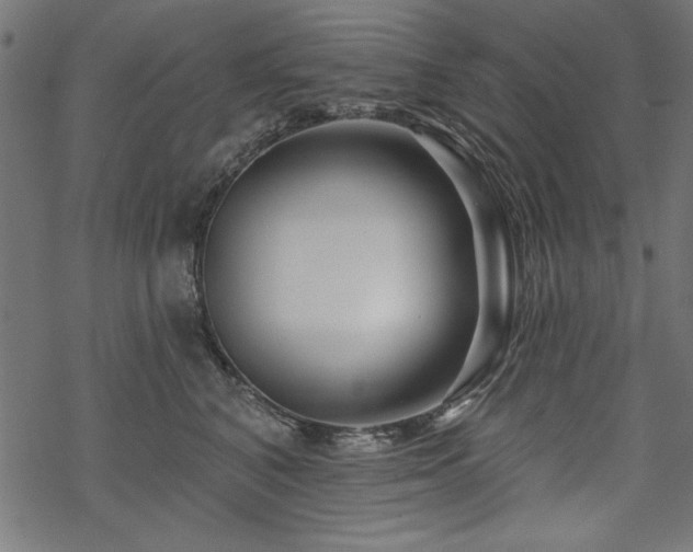 X0000070180616200605261134