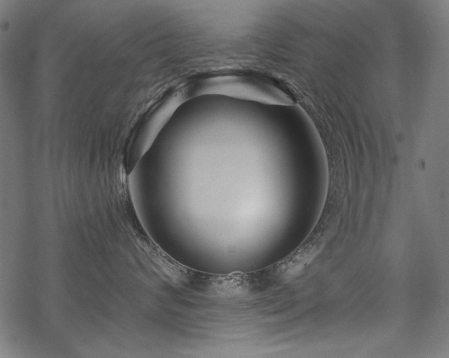 X0000070180624200605261134