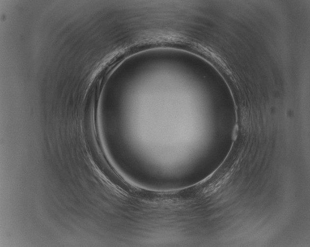 X0000070180629200605261133