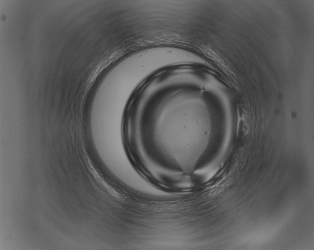 X0000070180634200605261133