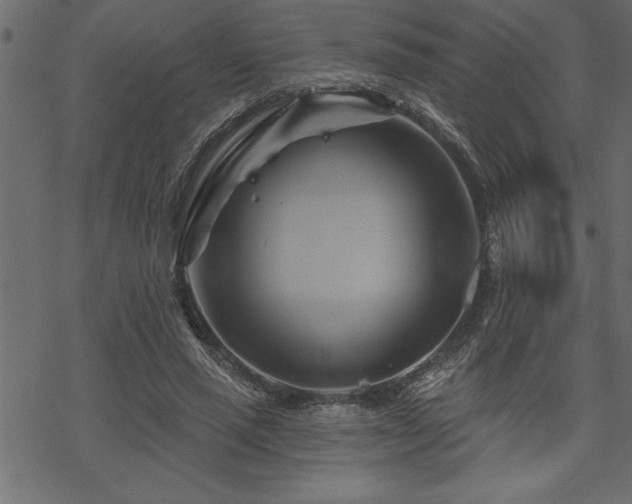 X0000070180637200605261133