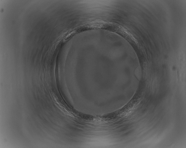 X0000070180641200605261133