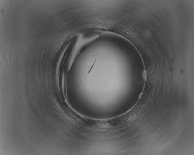 X0000070180642200605261133