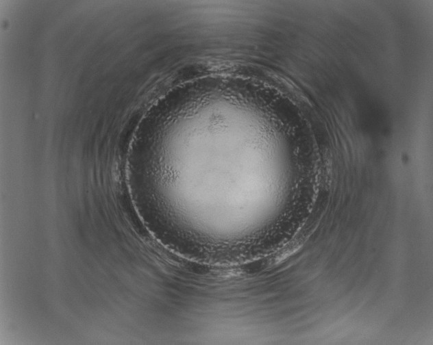 X0000070180667200605261134
