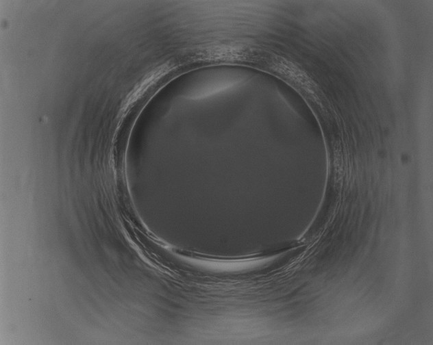 X0000070180674200605261133