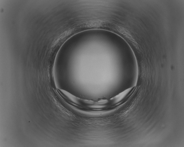 X0000070180681200605261133