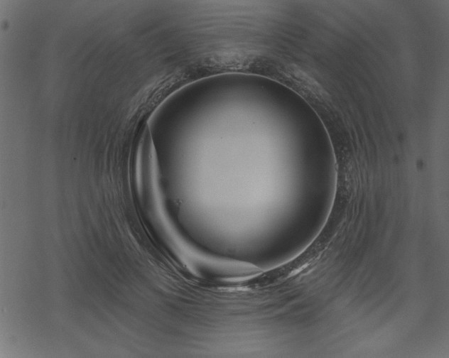 X0000070180693200605261133
