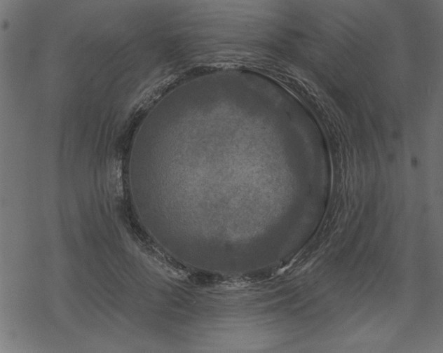 X0000070180696200605261133