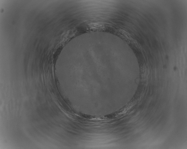 X0000070180703200605261133