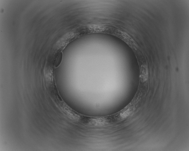 X0000070180713200605261133