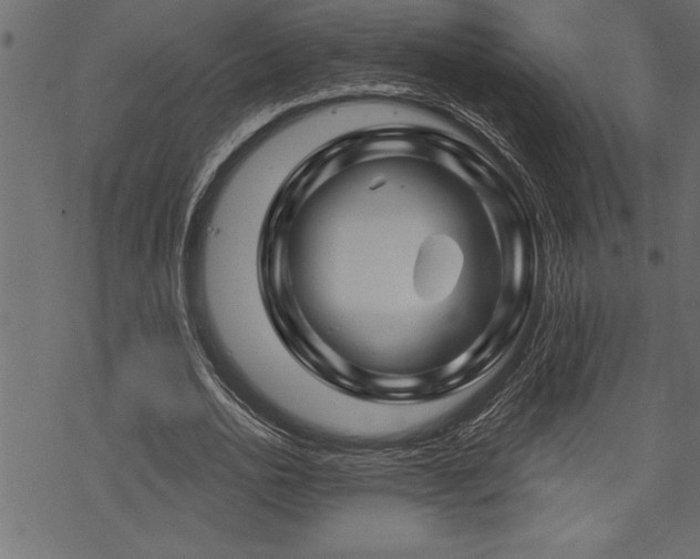 X0000070180726200605261132