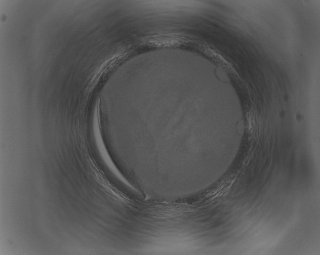 X0000070180733200605261132